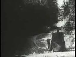 nosferatu6