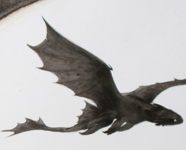 Toothless_Concept_Art