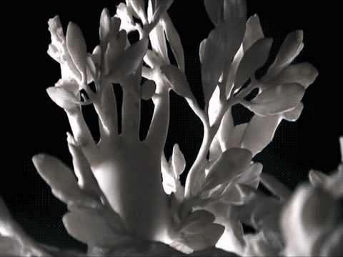 tumblr_mh52bjFAg31s47re1o8_r1_500