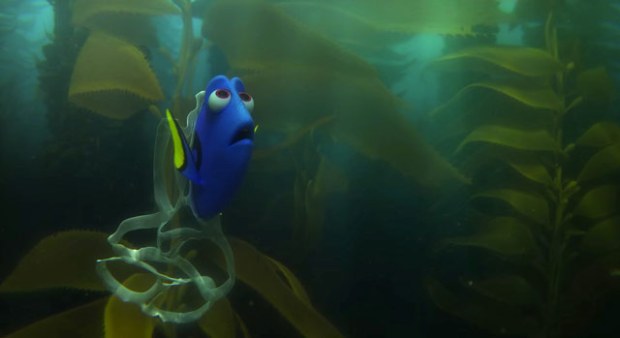 1 Finding Dory 6